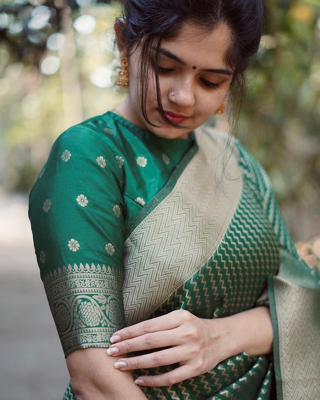 Banarasi Soft Silk Kanjivaram Saree with Elegant Border Design