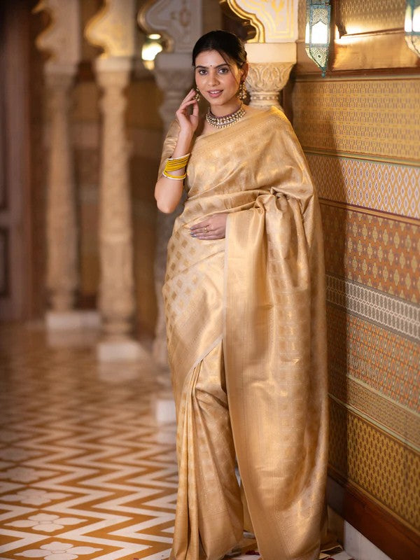 Banarasi Soft Silk Saree – Elegant Simplicity with a Touch of Tradition